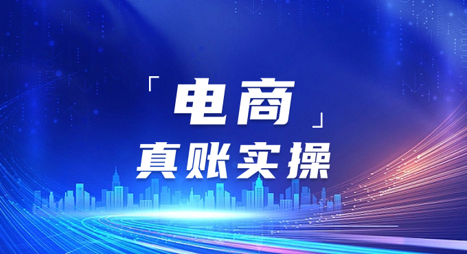 电商行业财税实操集训营（网授）